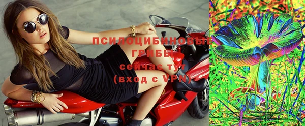 мяу мяу мука Горняк