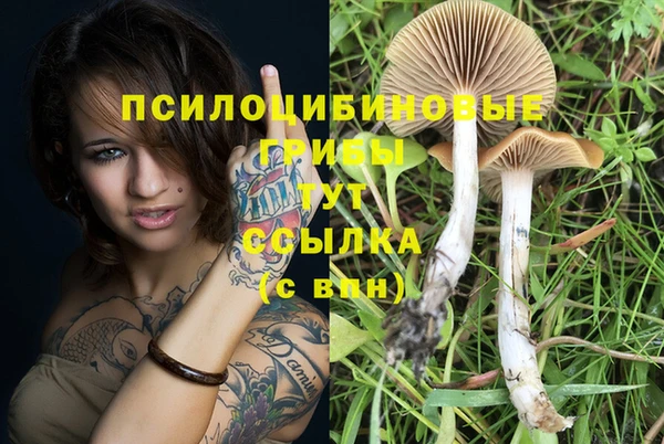 COCAINE Горнозаводск